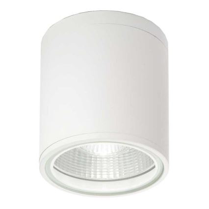 Ideal Lux - Venkovní bodové svítidlo GUN 1xGU10/28W/230V IP44 bílá