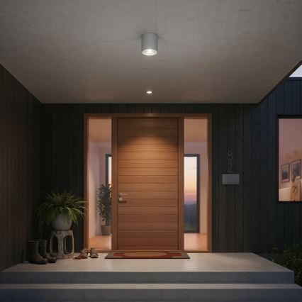 Ideal Lux - Venkovní bodové svítidlo GUN 1xGU10/28W/230V pr. 11 cm IP55 šedá