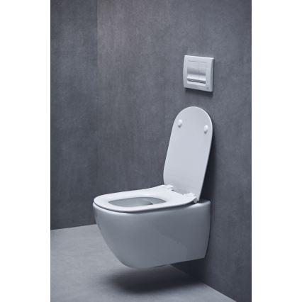 Ideal Standard T552201 - Záchodové prkénko SoftClose TESI bílá