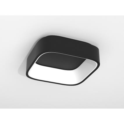 Immax NEO TOPAJA - LED Stropní svítidlo na dálkové ovládání LED/36W/230V