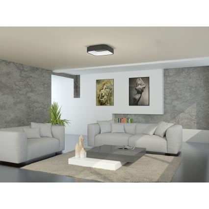 Immax NEO TOPAJA - LED Stropní svítidlo na dálkové ovládání LED/47W/230V