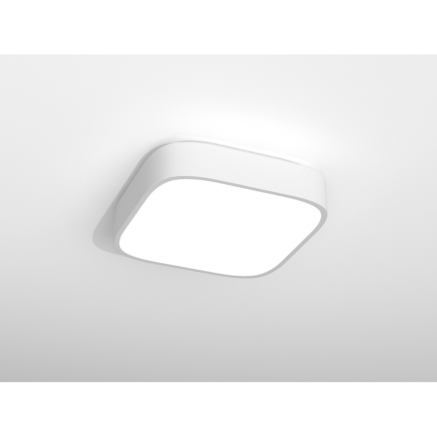 Immax NEO RECUADRO - LED Stropní svítidlo na dálkové ovládání LED/36W/230V