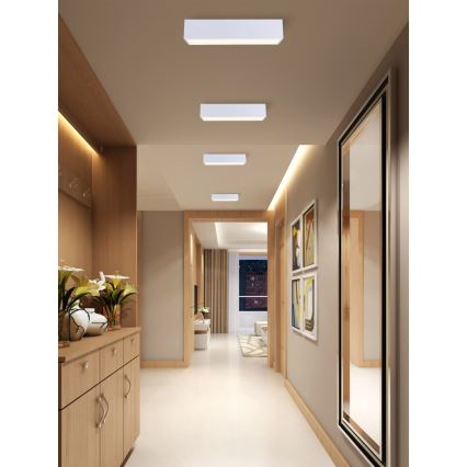 Immax NEO 07072-60 - LED Stmívatelné stropní svítidlo CANTO LED/34W/230V bílá Tuya + dálkové ovládání