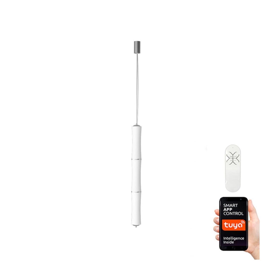Immax NEO 07104L - LED Stmívatelný lustr na lanku BAMBOOS LED/45W/230V 135 cm Tuya + dálkové ovládání