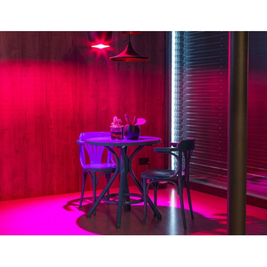 Immax NEO 07115L - LED RGB Stmívatelná žárovka E27/9W/230V 1800-6500K Tuya