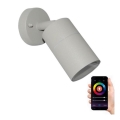Immax NEO 07118B - 2-LED RGB Venkovní stmívatelné nástěnné bodové svítidlo PARED 1xGU10/5,5W/230V Wi-Fi Tuya IP65