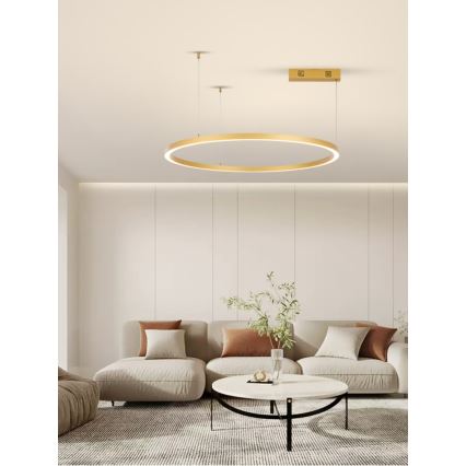 Immax NEO 07217L - LED Stmívatelný lustr na lanku FINO LED/60W/230V 80 cm zlatá Tuya + dálkové ovládání