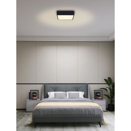 Immax NEO 07237L - LED Stmívatelné stropní svítidlo CANTO LED/22W/230V černá Tuya + dálkové ovládání