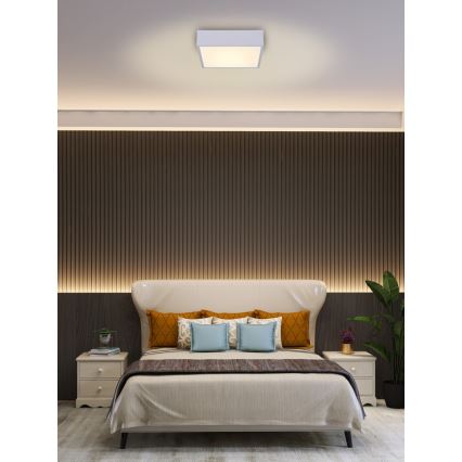 Immax NEO 07238L - LED Stmívatelné stropní svítidlo CANTO LED/22W/230V bílá Tuya + dálkové ovládání