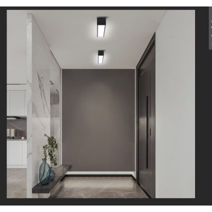 Immax NEO 07254L - LED Stmívatelné stropní svítidlo NEO LITE LUNGO LED/20W/230V 3000-6000K Wi-Fi Tuya černá + dálkové ovládání