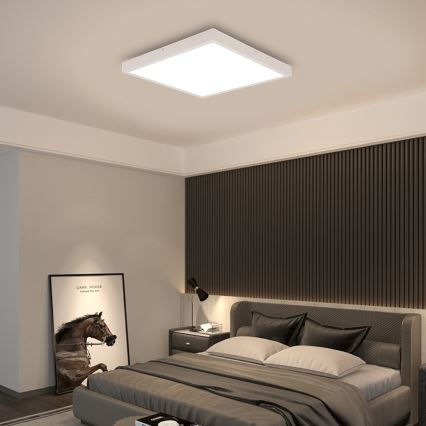 Immax NEO 07277L - LED Stmívatelné koupelnové stropní svítidlo NEO LITE FRAME LED/50W/230V IP44 Wi-Fi Tuya +dálkové ovládání bílá