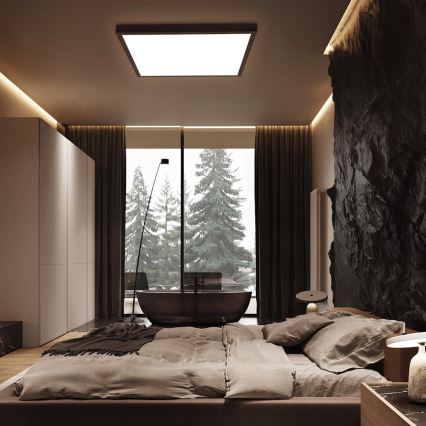Immax NEO 07279L - LED Stmívatelné koupelnové stropní svítidlo NEO LITE FRAME LED/50W/230V IP44 Wi-Fi Tuya + dálkové ovládání černá
