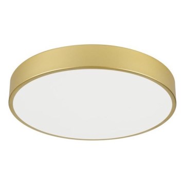 Immax NEO 07292L - LED Stmívatelné stropní svítidlo NEO LITE SEMPLICI LED/36W/230V 3000-6000K pr. 40 cm Wi-Fi Tuya zlatá + dálkové ovládání
