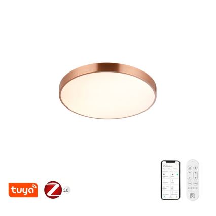 Immax NEO 07321L - LED Stmívatelné stropní svítidlo NEO LITE SEMPLICI LED/36W/230V pr. 40 cm Tuya rose gold + dálkové ovládání