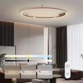 Immax NEO 07325-120C - LED Stmívatelné stropní svítidlo FINO LED/72W/230V 120 cm Tuya rose gold + dálkové ovládání