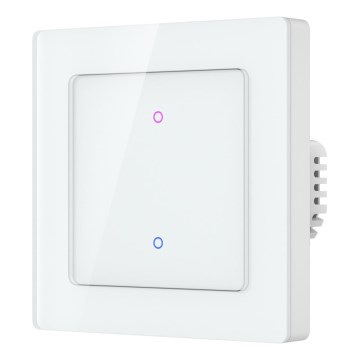 Immax NEO 07539L - Vypínač 2-tlačítkový SMART 230V Wi-Fi Tuya