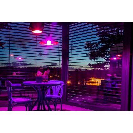 Immax NEO 07745CDO - SADA 3x LED RGB+CCT Stmívatelná žárovka E14/6W/230V Wi-Fi + dálkové ovládání