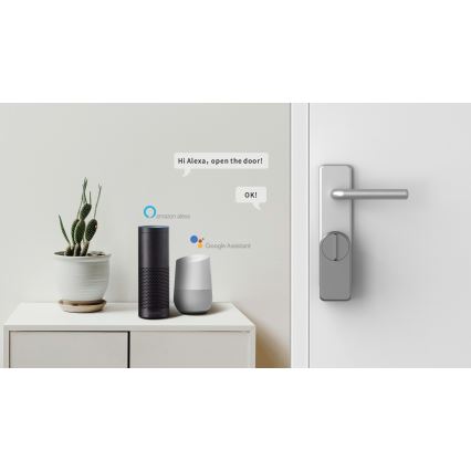 Immax NEO 07815L - Chytrý dveřní zámek s klávesnicí 4xAA + 2xAA Tuya