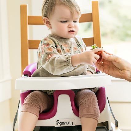 Ingenuity - Podsedák na jídelní židli 2v1 BABY BASE růžová