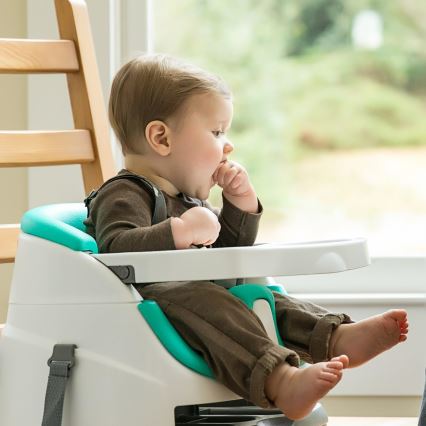 Ingenuity - Podsedák na jídelní židli 2v1 BABY BASE tyrkysová