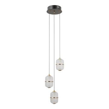 ITALUX - LED Lustr na lanku ALANI 3xLED/5W/230V 3000K černá/zlatá