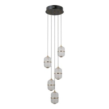 ITALUX - LED Lustr na lanku ALANI 5xLED/5,6W/230V 3000K černá/zlatá