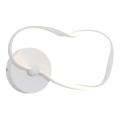 ITALUX - LED Nástěnné svítidlo AMAYA LED/20W/230V bílá