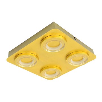 ITALUX - LED Stropní svítidlo AURORE 4xLED/20W/230V