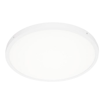 ITALUX - LED Stropní svítidlo PELARO LED/36W/230V 3000K pr. 50 cm bílá