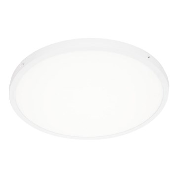 ITALUX - LED Stropní svítidlo PELARO LED/36W/230V 4000K pr. 50 cm bílá