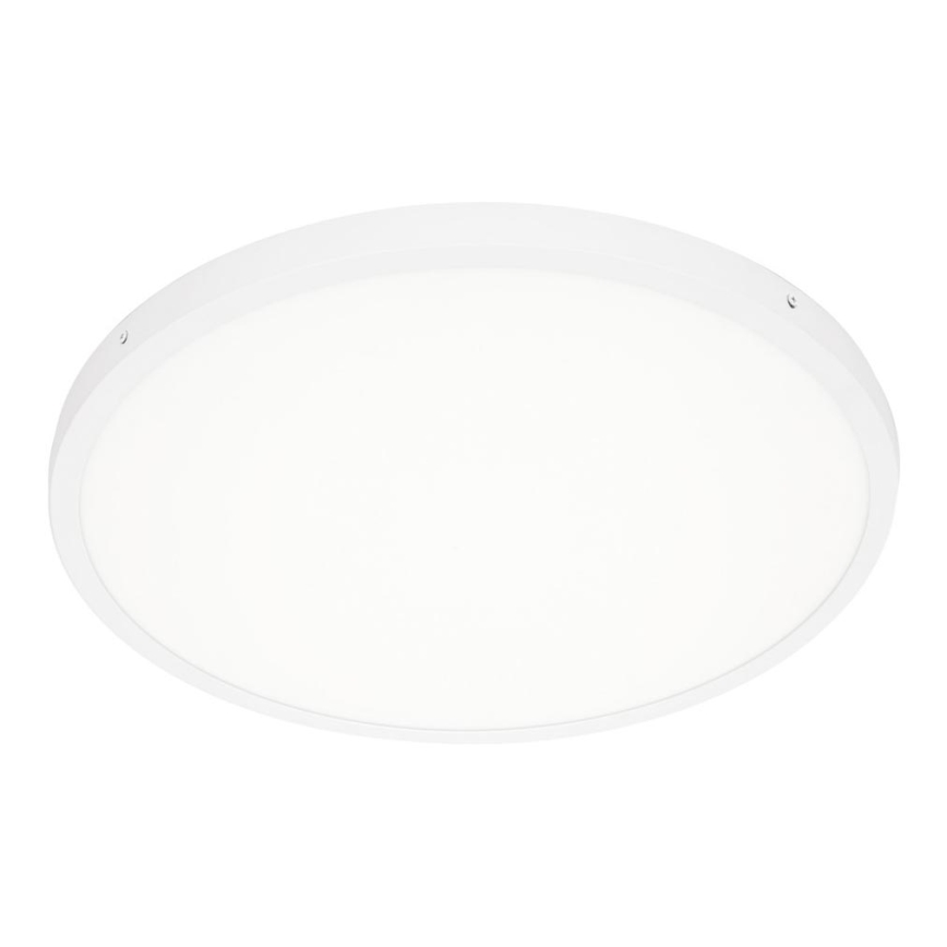 ITALUX - LED Stropní svítidlo PELARO LED/36W/230V 4000K pr. 50 cm bílá