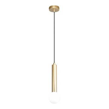 ITALUX - Lustr na lanku FILANO 1xG9/5W/230V zlatá
