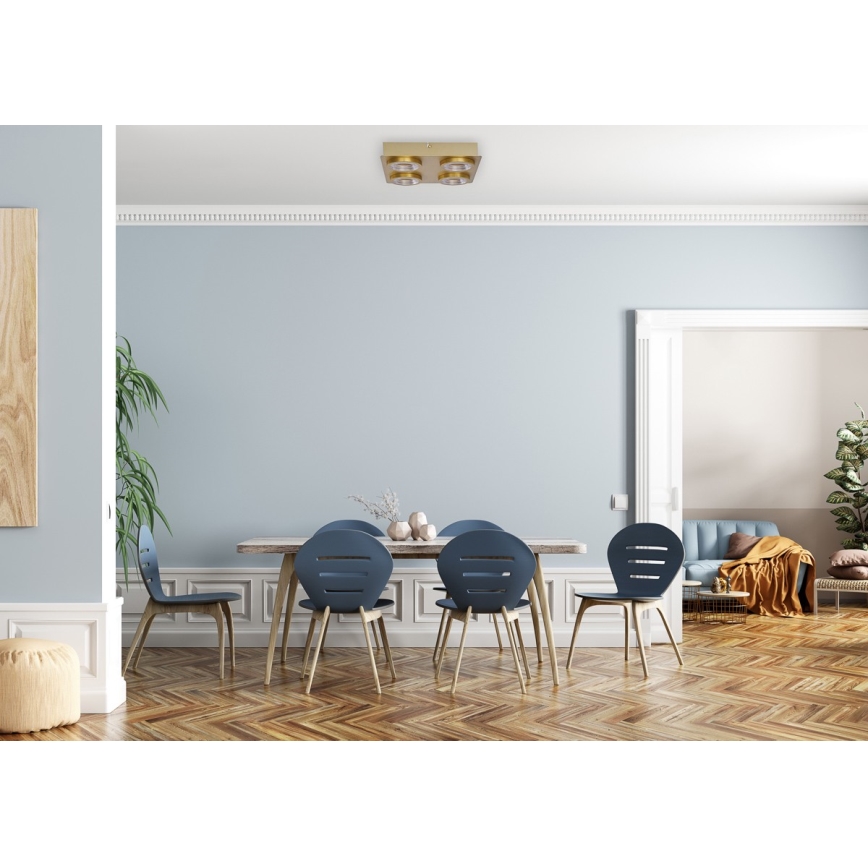 ITALUX - LED Stropní svítidlo AURORE 4xLED/20W/230V