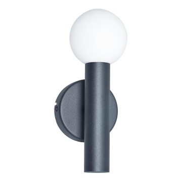 ITALUX - Nástěnná lampa FILANO 1xG9/5W/230V černá