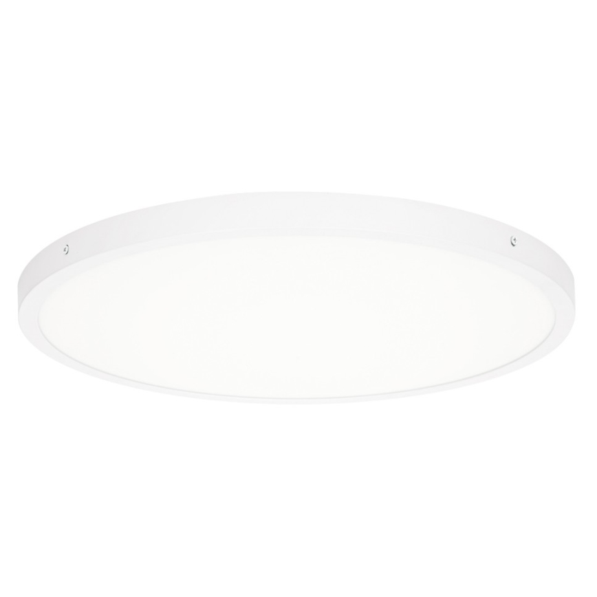 ITALUX - LED Stropní svítidlo PELARO LED/36W/230V 3000K pr. 50 cm bílá
