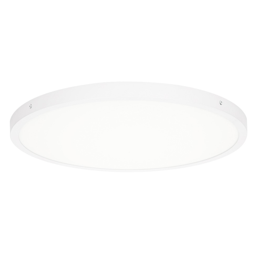 ITALUX - LED Stropní svítidlo PELARO LED/36W/230V 4000K pr. 50 cm bílá