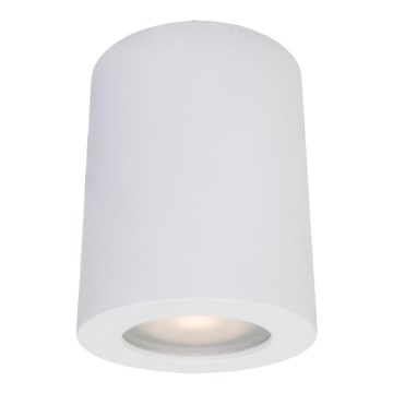ITALUX - Venkovní bodové svítidlo FAUSTO 1xGU10/40W/230V IP44 bílá