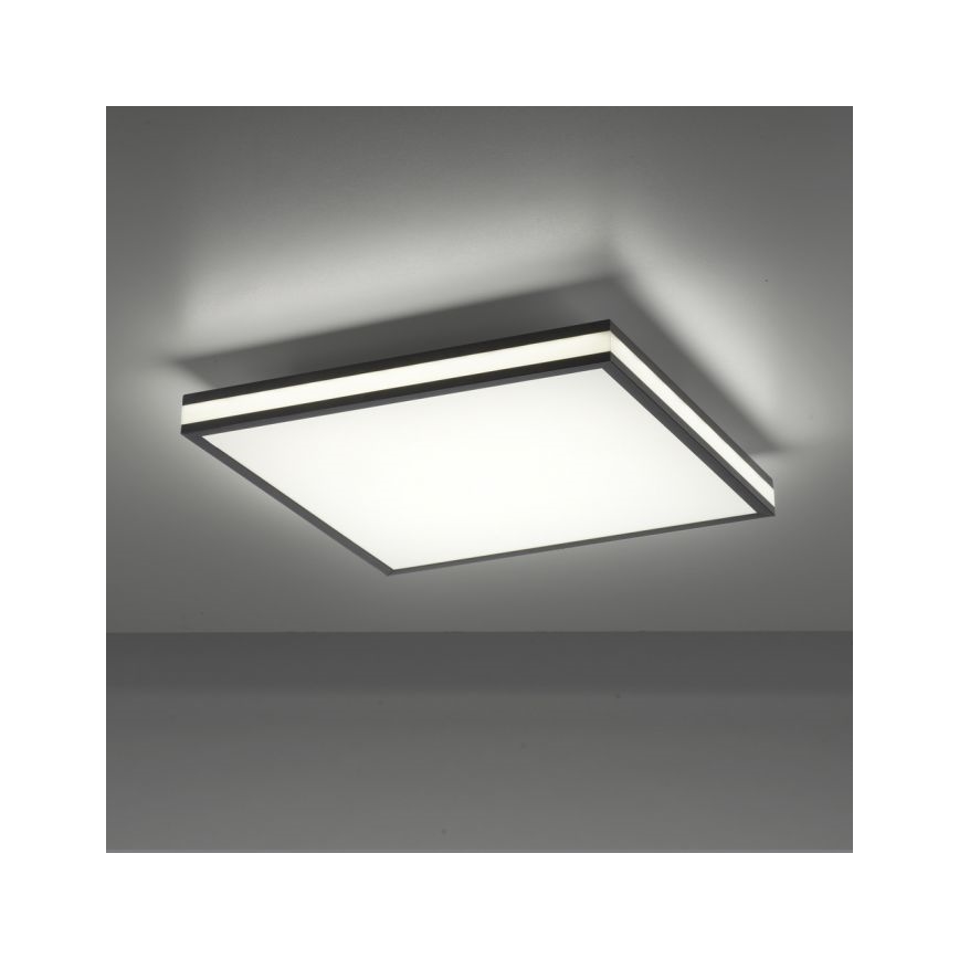 JUST LIGHT. 14110-18 - LED RGBW Stmívatelné stropní svítidlo MARIO BLACK LED/19,5W/230V 2700-5000K + dálkové ovládání