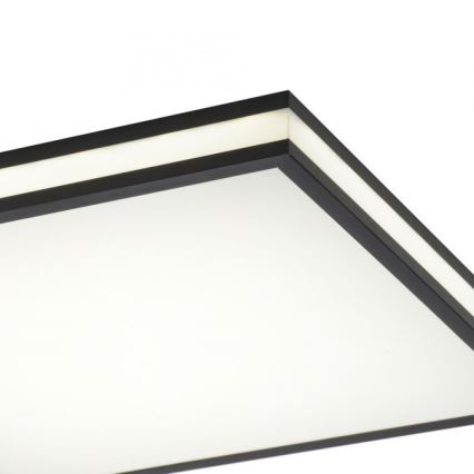 JUST LIGHT. 14110-18 - LED RGBW Stmívatelné stropní svítidlo MARIO BLACK LED/19,5W/230V 2700-5000K + dálkové ovládání