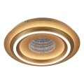 JUST LIGHT. 15089-60 - LED Stropní svítidlo CICHIO LED/36W/230V pr. 40 cm zlatá