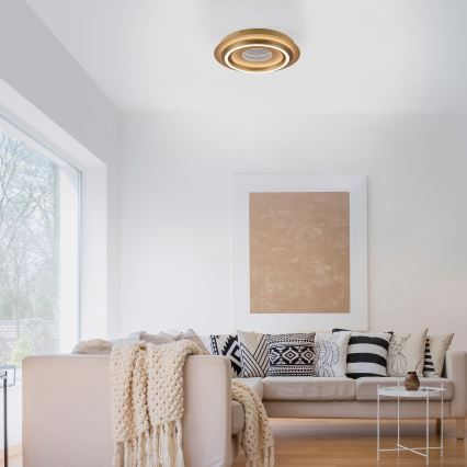 JUST LIGHT. 15089-60 - LED Stropní svítidlo CICHIO LED/36W/230V pr. 40 cm zlatá
