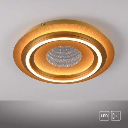 JUST LIGHT. 15089-60 - LED Stropní svítidlo CICHIO LED/36W/230V pr. 40 cm zlatá