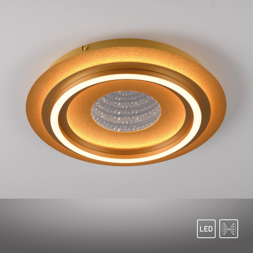 JUST LIGHT. 15089-60 - LED Stropní svítidlo CICHIO LED/36W/230V pr. 40 cm zlatá