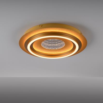 JUST LIGHT. 15089-60 - LED Stropní svítidlo CICHIO LED/36W/230V pr. 40 cm zlatá