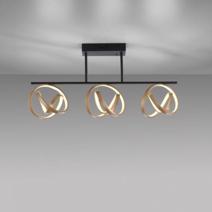 JUST LIGHT. 6245-18 - LED Stmívatelný přisazený lustr LOOP 3xLED/11W/230V 2700-5000K + dálkové ovládání