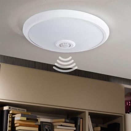 LED stropní svítidlo se senzorem LED/14W/230V