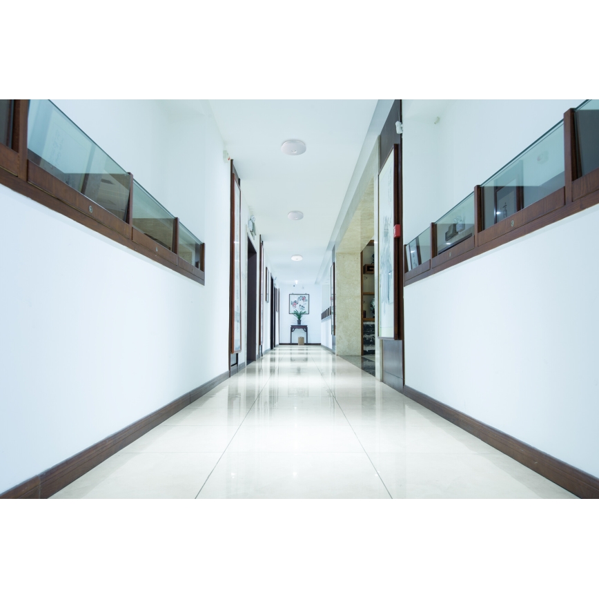 LED Stropní svítidlo se senzorem pohybu a soumraku FOGLER LED/12W/230V pr. 28 cm