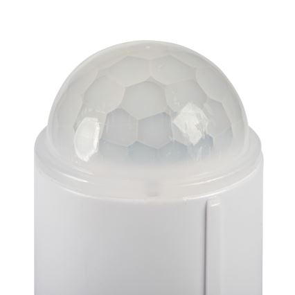 LED Stropní svítidlo se senzorem pohybu a soumraku FOGLER LED/12W/230V pr. 28 cm