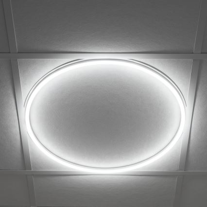 LED Podhledový rám AVAR LED/40W/230V 4000K pr. 59 cm