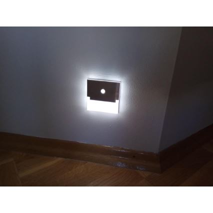 LED Schodišťové svítidlo SABIK se senzorem LED/0,8W/12V 3000K